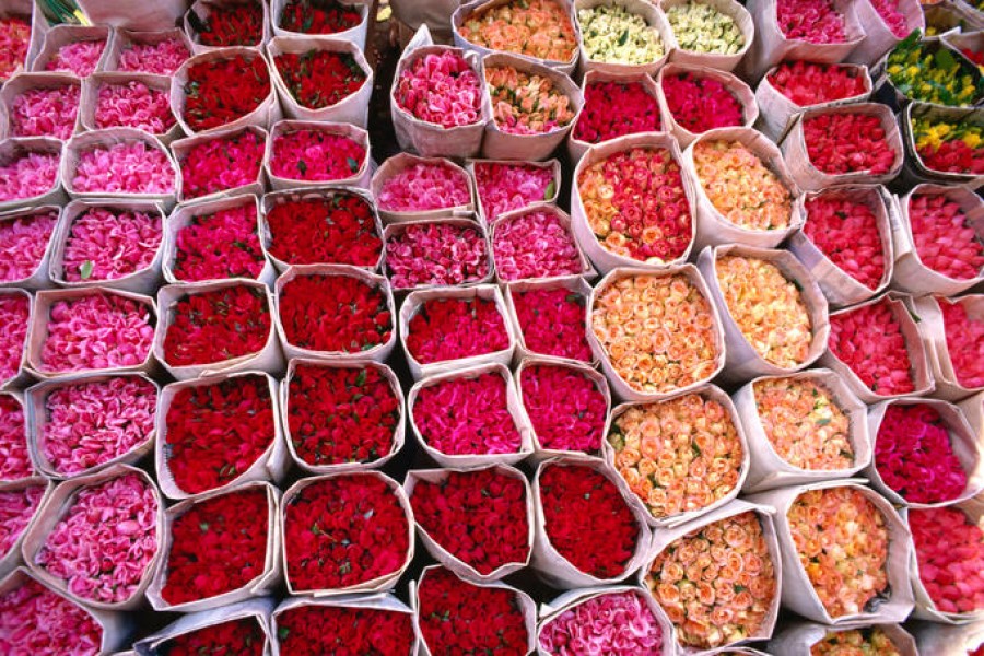 In Marocco per la festa delle rose