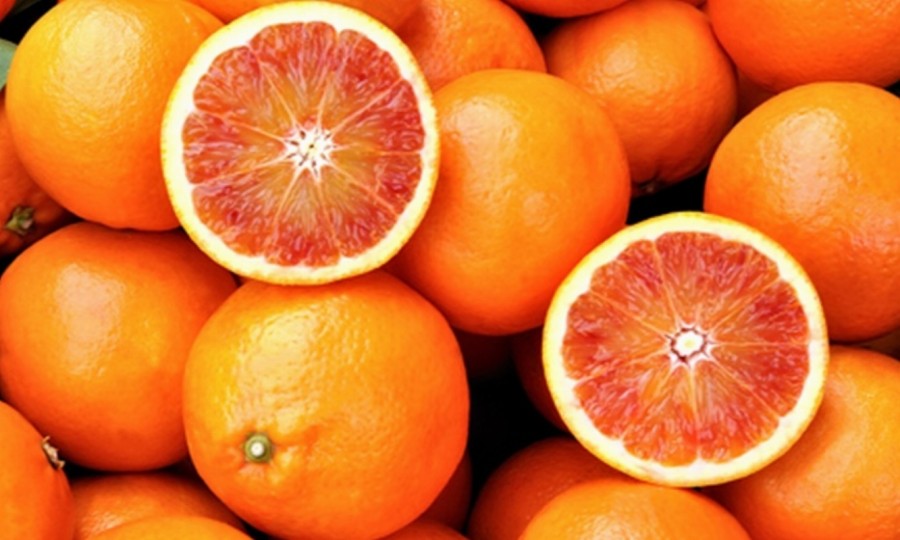 Moro, tarocco, sanguinello: l’arancia giusta per tutti i gusti