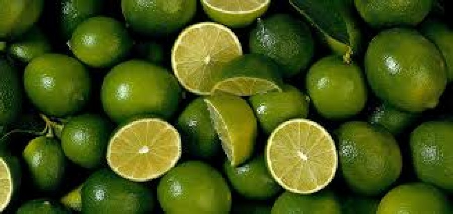 Alla scoperta del lime, l’alter ego del limone